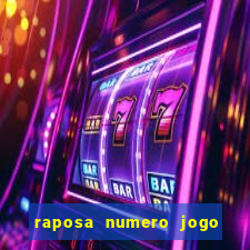 raposa numero jogo do bicho